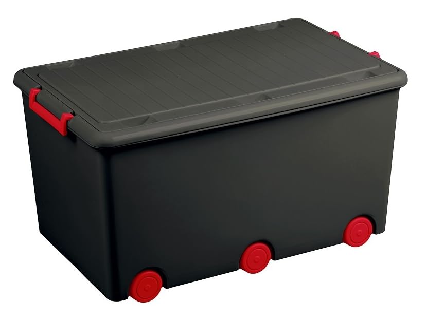 BDW Aufbewahrungsbox mit Deckel - Kiste für Kinderzimmer, Kindergarderobe, Sortierbox - Spielzeug Au