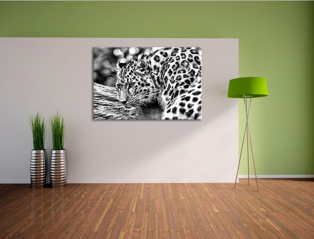 Pixxprint Monocrome, aufmerksamer Leopard auf Baumstamm, Format: 100x70 auf Leinwand, XXL riesige Bi