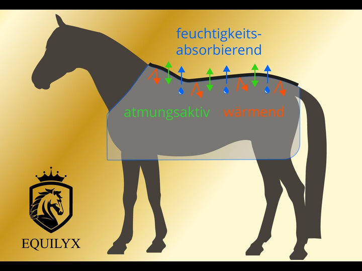 EQUILYX® Abschwitzdecke Pferd mit Teddy-Kragen und abnehmbaren Kreuzgurten [perfekte Passform] Fleec