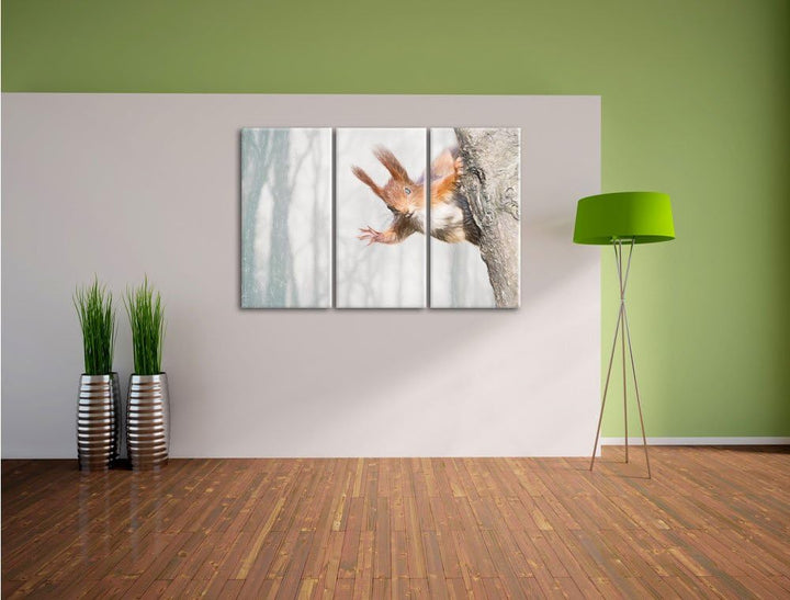 Pixxprint Neugierig rotes Eichhörnchen / 3-Teilig/Gesamtmass 120cm Leinwandbild bespannt auf Holzrah