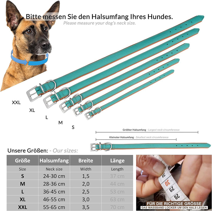 Schnüffelfreunde Lederhalsband Hund - Fun Line (XXL - 55-65cm, Türkis-Braun) XXL Türkis-Braun, XXL T