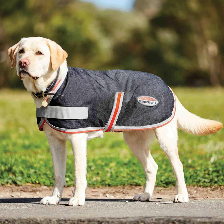 Weatherbeeta 1200d Therapy Tec Dog Jacket 40cm Black Silver Red, 40cm