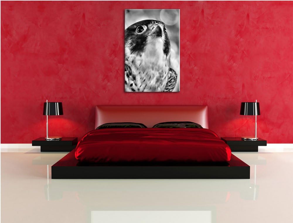 Pixxprint schöner Grauer Adler als Leinwandbild/Grösse: 100x70 cm/Wandbild/Kunstdruck/fertig bespann