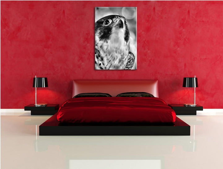 Pixxprint schöner Grauer Adler als Leinwandbild/Grösse: 100x70 cm/Wandbild/Kunstdruck/fertig bespann