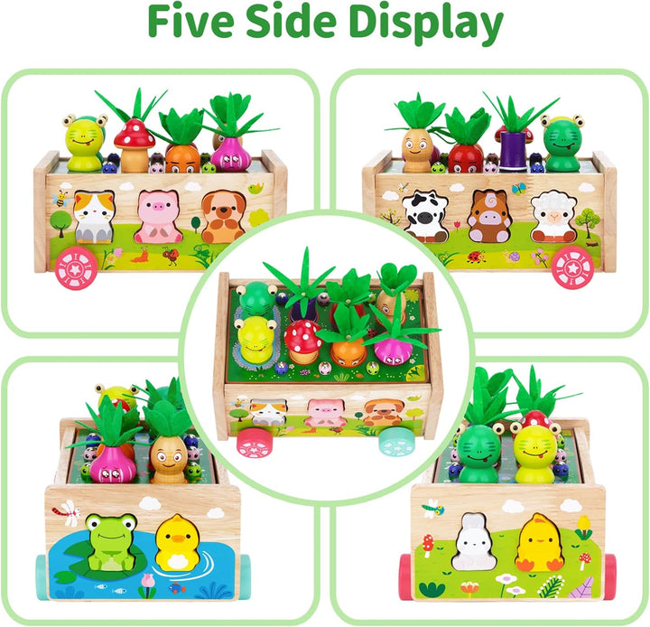 Montessori Spielzeug ab 1 2 3 Jahr | Karotten Steckspiel Holz | Montessori Geschenk Mädchen Jungen |