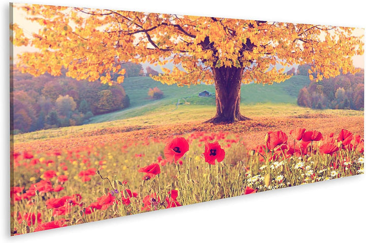islandburner Bild auf Leinwand Schöne Landschaft Mohnblumen Baum Herbst Bilder Wandbilder Poster Lei