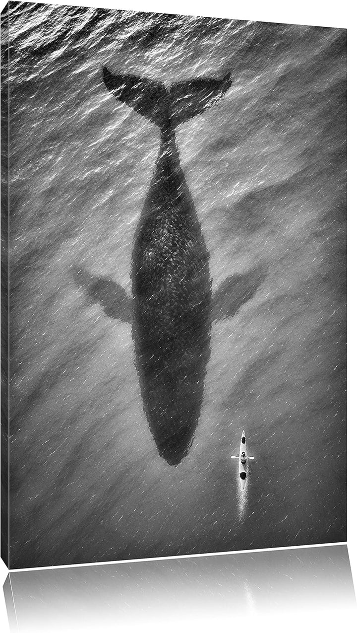 Pixxprint Riesiger Wal Schatten / 100x70cm Leinwandbild bespannt auf Holzrahmen/Wandbild Kunstdruck