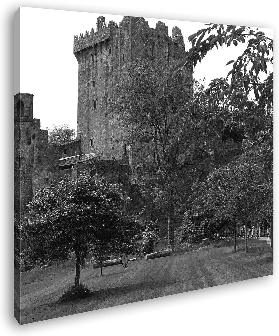 deyoli Blarney Castle in Irland im Format: 70x70 Effekt: Schwarz&Weiss als Leinwandbild, Motiv auf E