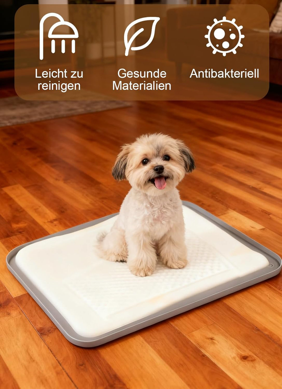 Pipi Matten für Hunde, Hundetoilette,60×42cm für Hunde und grosser Hund, Welpen Unterlagen, Training