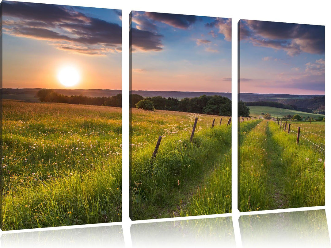 Pixxprint Bergwiese im Sonnenaufgang als Leinwandbild/Grösse: 3 Teilig (120x80) cm/Wandbild/Kunstdru