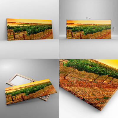 Wandbilder Dekoration Wohnzimmer Landschaft Weinberg Sonnenuntergang Bilder auf Leinwand 120x50cm Le