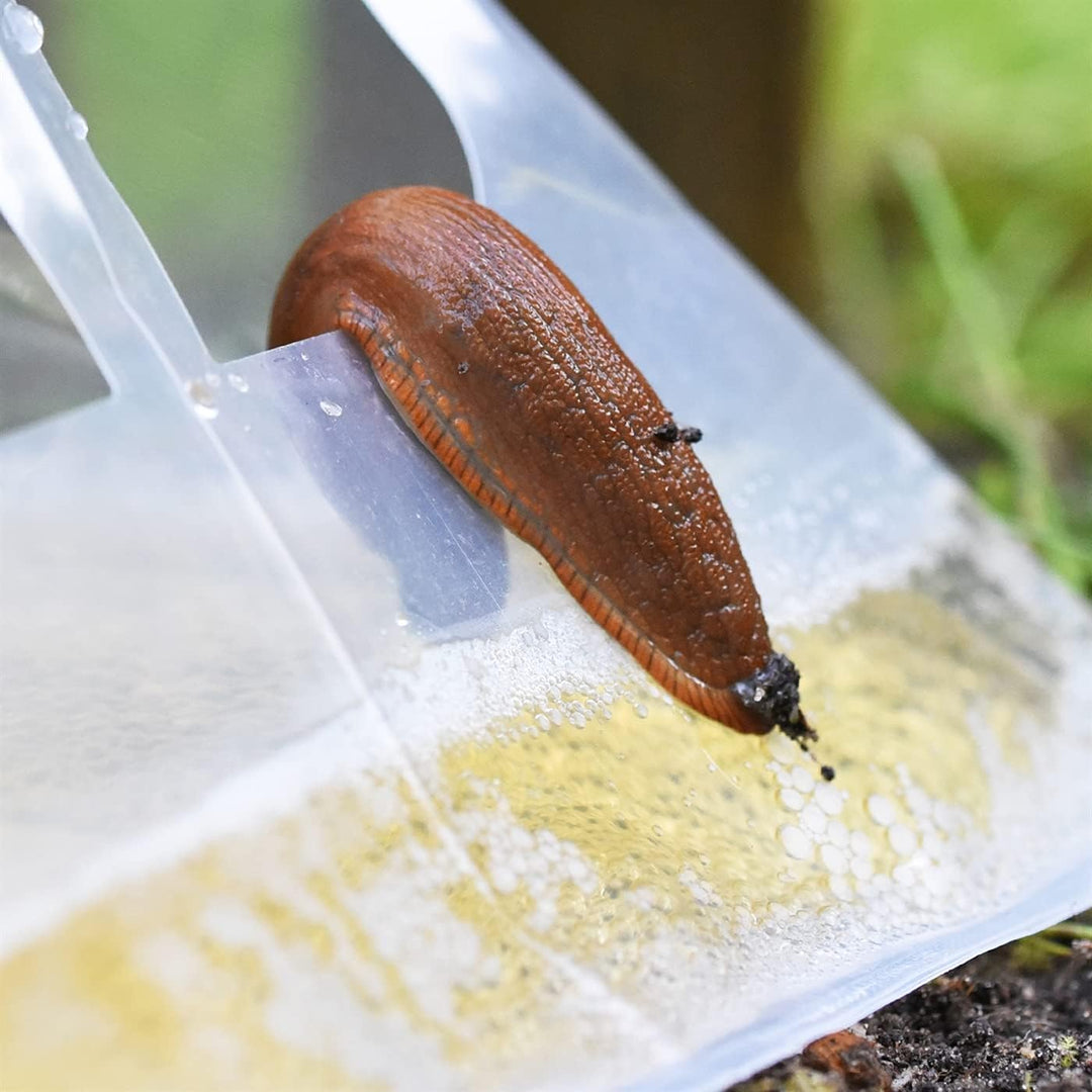 VOSS.garden 50x Schneckenfalle Slug Ex, Schnecken bekämpfen, Bierfalle, 50x