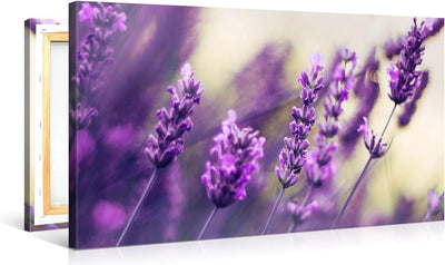 PICANOVA – Purple Lavendel 100x50cm – Premium Leinwanddruck – Kunstdruck Auf 2cm Holz-Keilrahmen Für