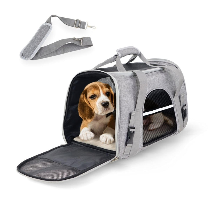 Mobiclinic® Pets, Hundebox, Bronco, Faltbar, Trolley-Gurt, Belüftung, Multi-Access, Verstellbar, 48x