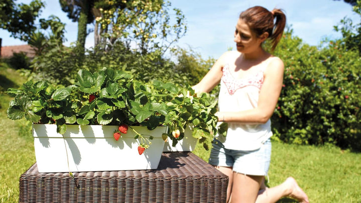 CAPRI XL PLANT BOX 80CM LIGHT TERRACOTTA