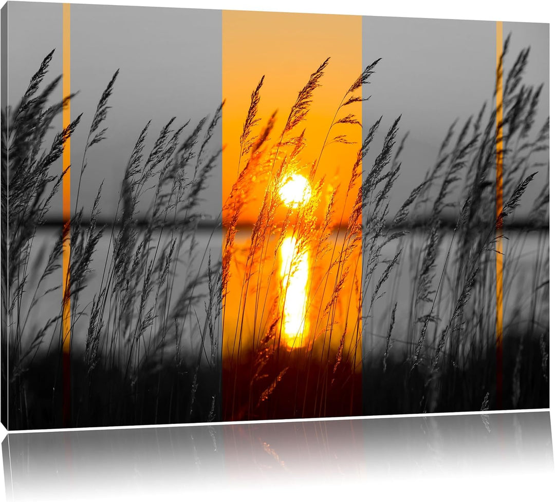 Gräser bei Sonnenuntergang schwarz/weiss Format: 100x70 auf Leinwand, XXL riesige Bilder fertig gera