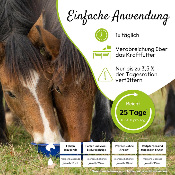 PHA Basis MineralPlus Liquid für Pferde - Multi Vitamine und Mineralstoffe für den täglichen Nährsto