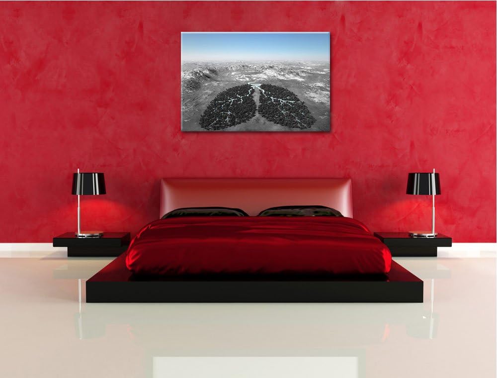 Lunge der Natur aus Bäumen schwarz/weiss Format: 100x70 auf Leinwand, XXL riesige Bilder fertig gera