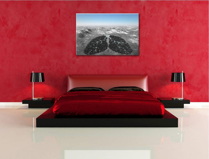 Lunge der Natur aus Bäumen schwarz/weiss Format: 100x70 auf Leinwand, XXL riesige Bilder fertig gera