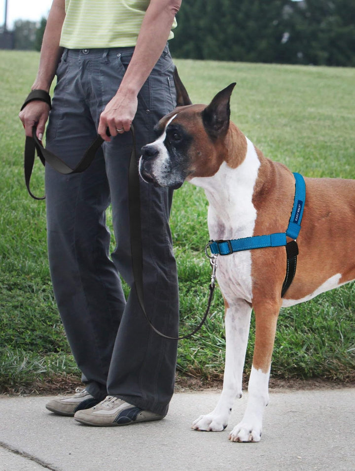 PetSafe Deluxe Easy Walk Hundegeschirr ocean Medium/Large, ocean Medium/Large