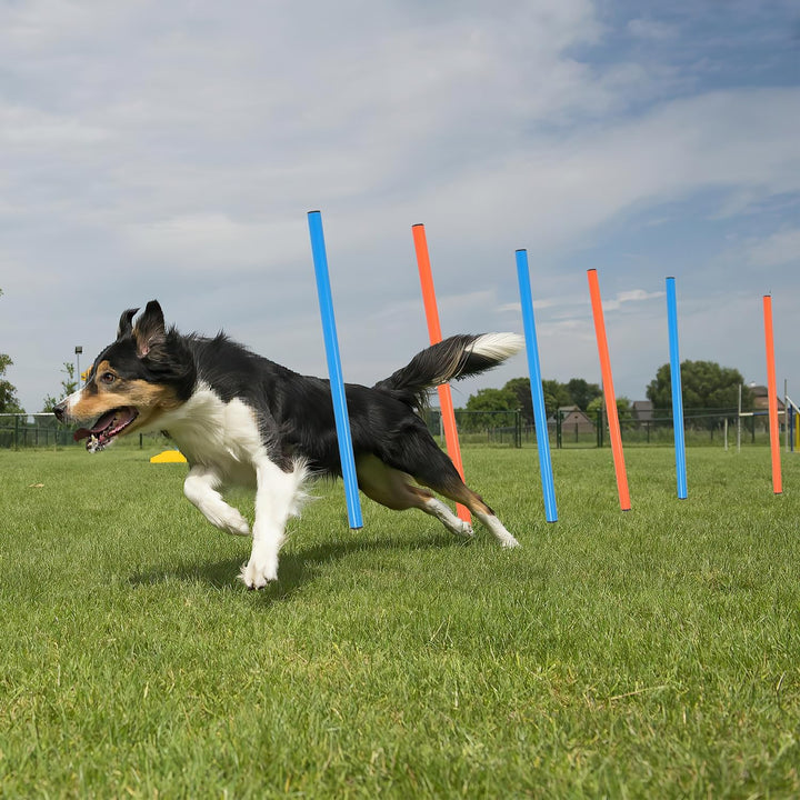 Agility Set Hunde,5-teilig mit Hundetunnel,Slalom,Hürde,Sprungring