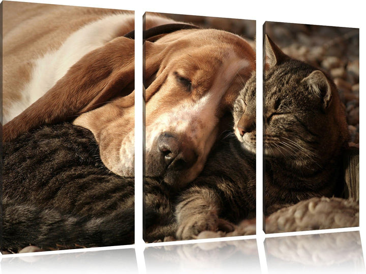 Pixxprint Katze und Hund kuschelnd als Leinwandbild/Grösse: 3 Teilig (120x80) / Wandbild/Kunstdruck/