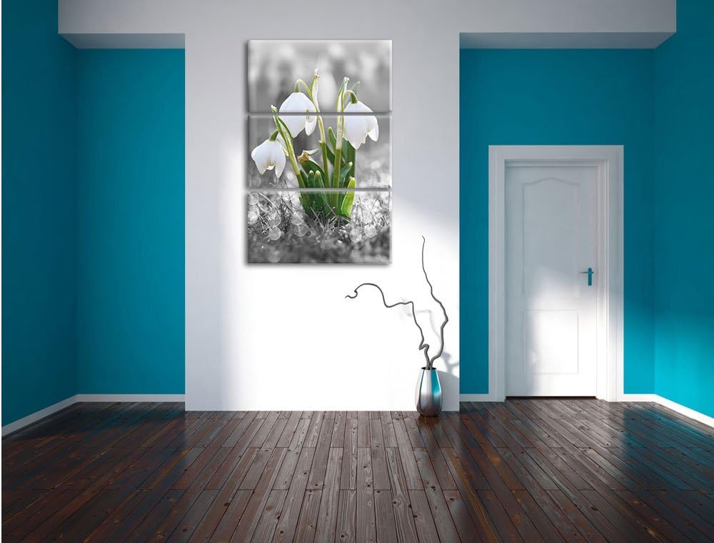 Pixxprint schöne Schneeglöckchen im Morgentau als Leinwandbild/Grösse: 3 Teilig (120x80) cm/Wandbild