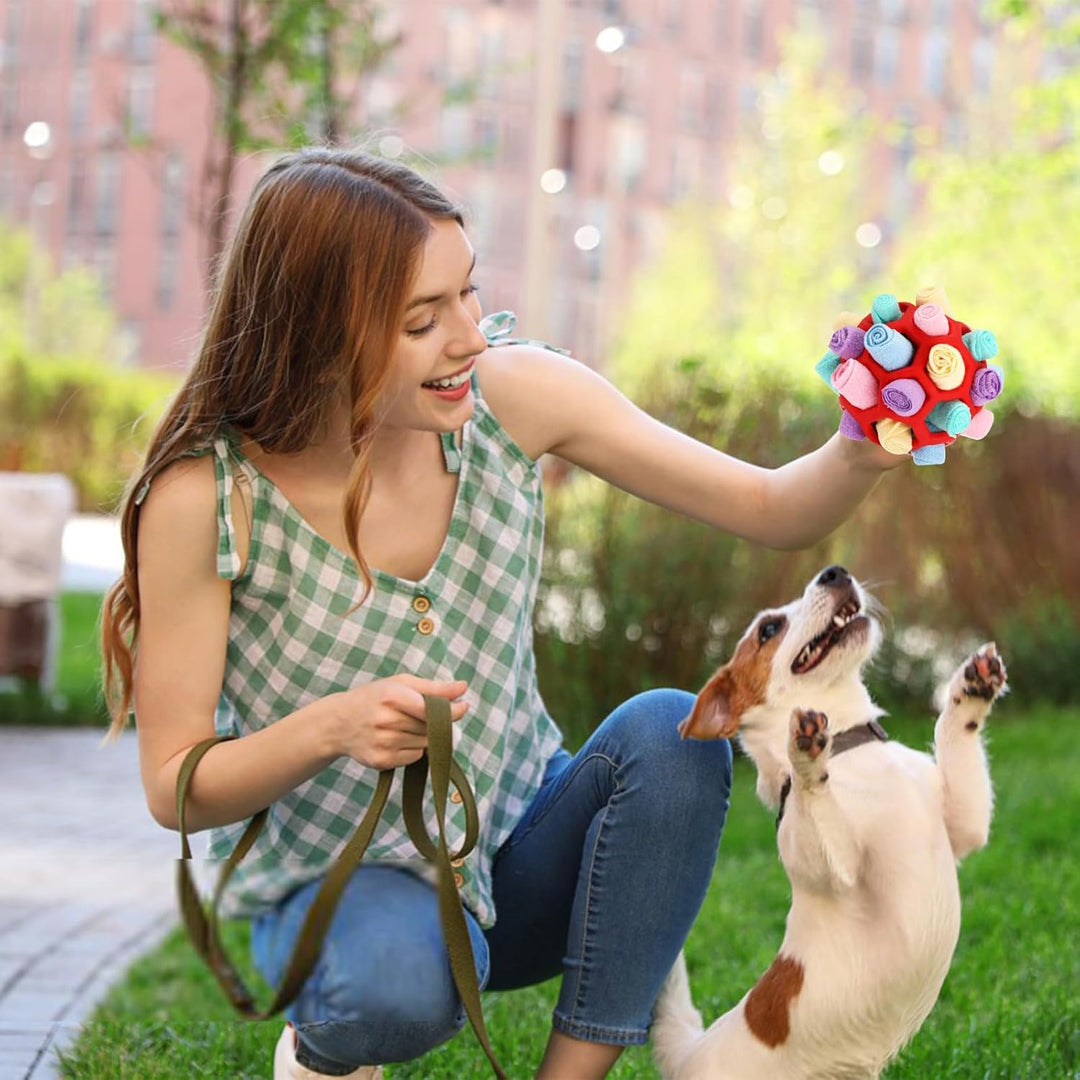 Schnüffelball für Hunde Interaktives Hundespielzeug Schnüffelteppich Schnüffelspielzeug Schnüffelspi