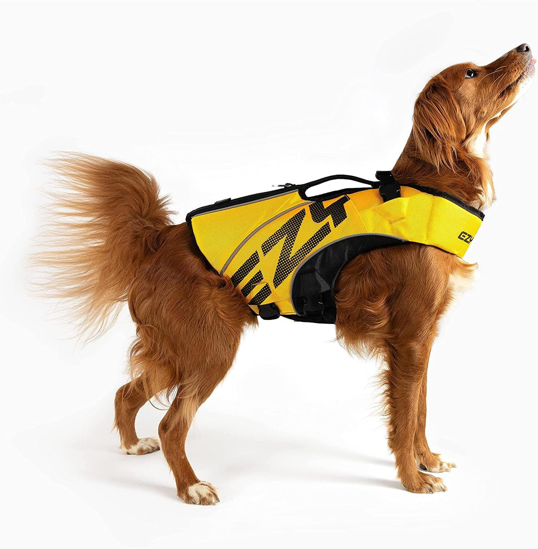 EzyDog Schwimmweste Hund – Premium Schwimmhilfe für kleine, mittlere & grosse Hunde – DFD X2 Boost R
