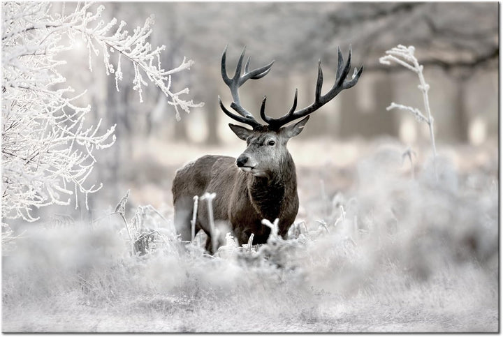 murando - Bilder Hirsch 120x80 cm Vlies Leinwandbild 1 tlg Kunstdruck modern Wandbilder XXL Wanddeko