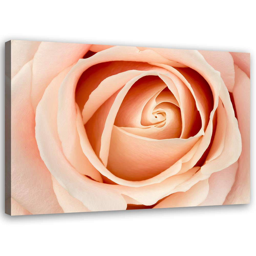 Feeby Bild auf Leinwand Natur Kunstdruck modern Blume Orange 80x60 cm M14558 80x60 cm, M14558 80x60
