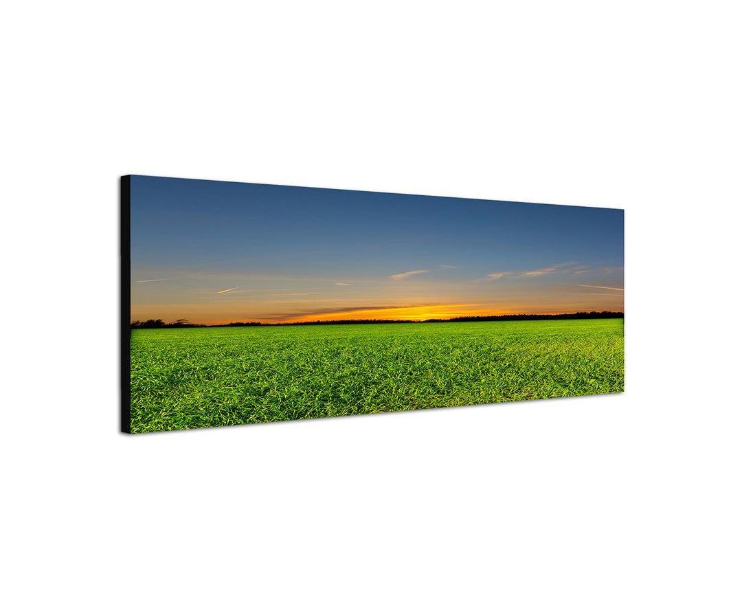 Augenblicke Wandbilder Leinwandbild als Panorama in 150x50cm Feld Frühling Wald Abendrot