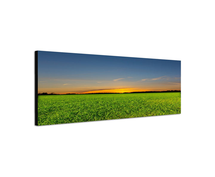 Augenblicke Wandbilder Leinwandbild als Panorama in 150x50cm Feld Frühling Wald Abendrot