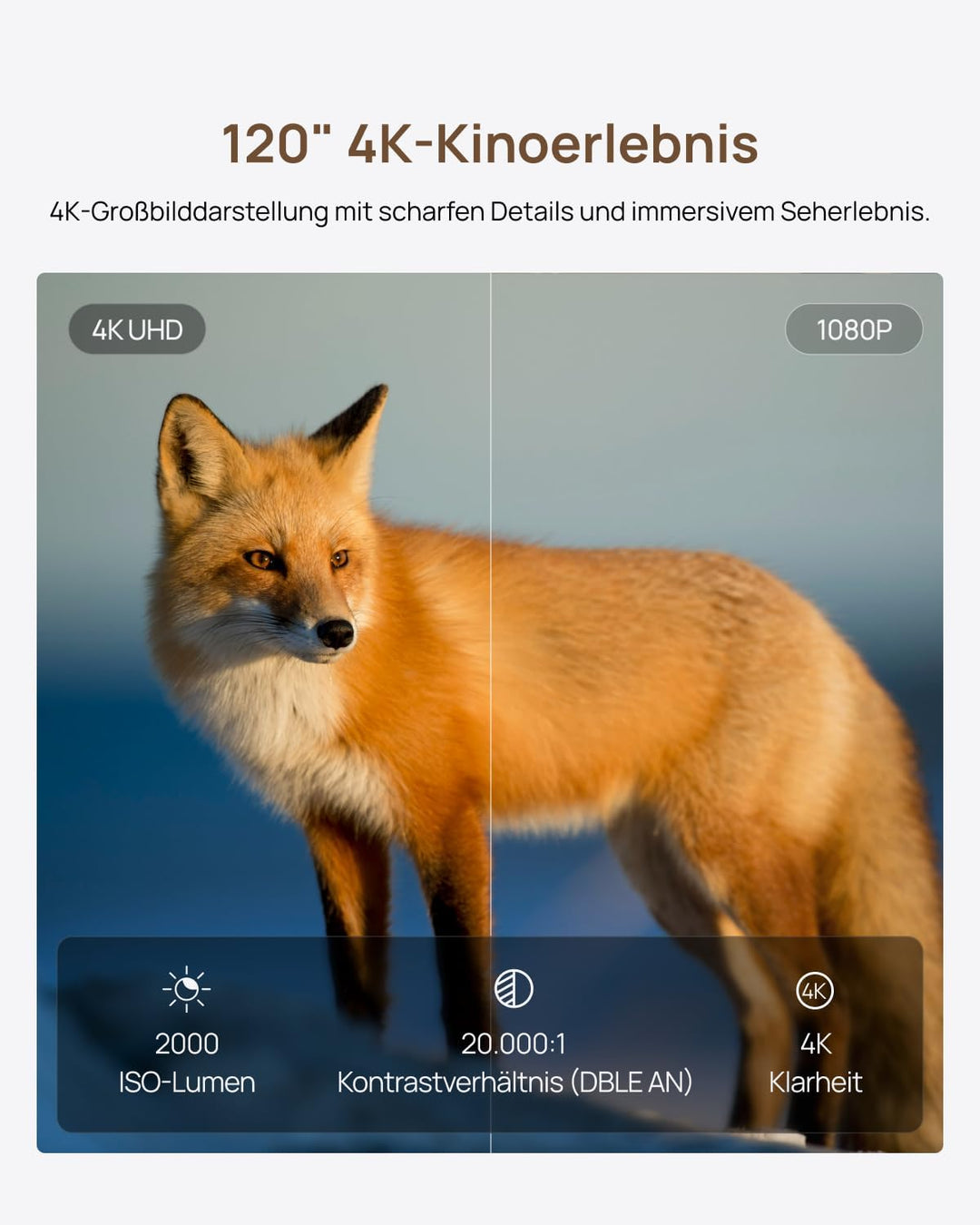 XGIMI MIRA 4K Ultrakurzdistanz Beamer &amp; Laser TV, 2000 ISO-Lumen