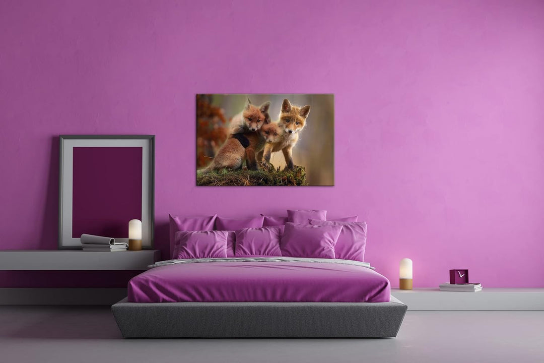 deyoli Kleine Familie von Rotfüchsen Format: 100x70 als Leinwand, Motiv fertig gerahmt auf Echtholzr