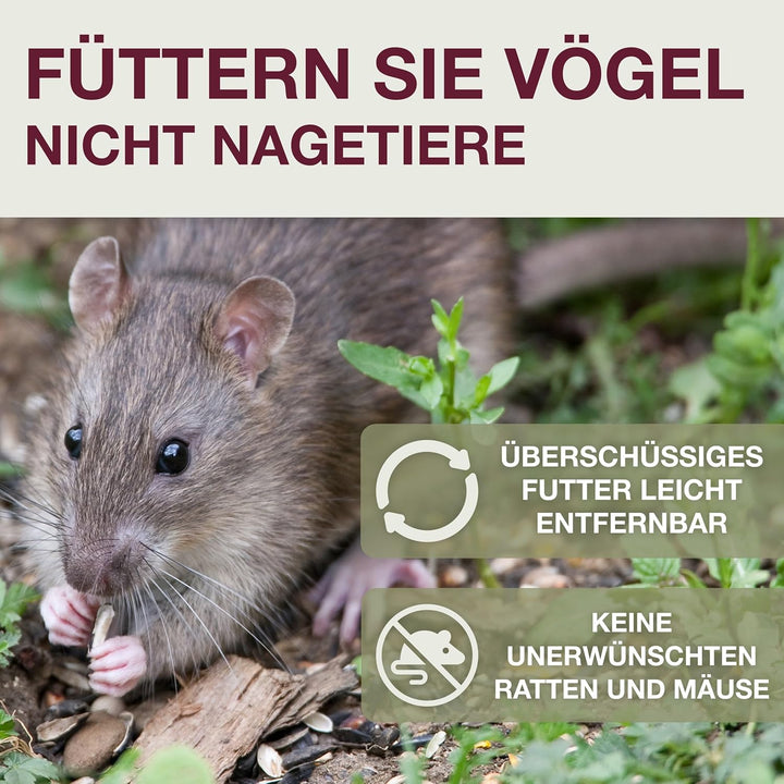 SWISSINNO Vogelfutterhaus zum Aufhängen – Lucerne SMART Birds - Meisenknödelhalter mit Auffangschale