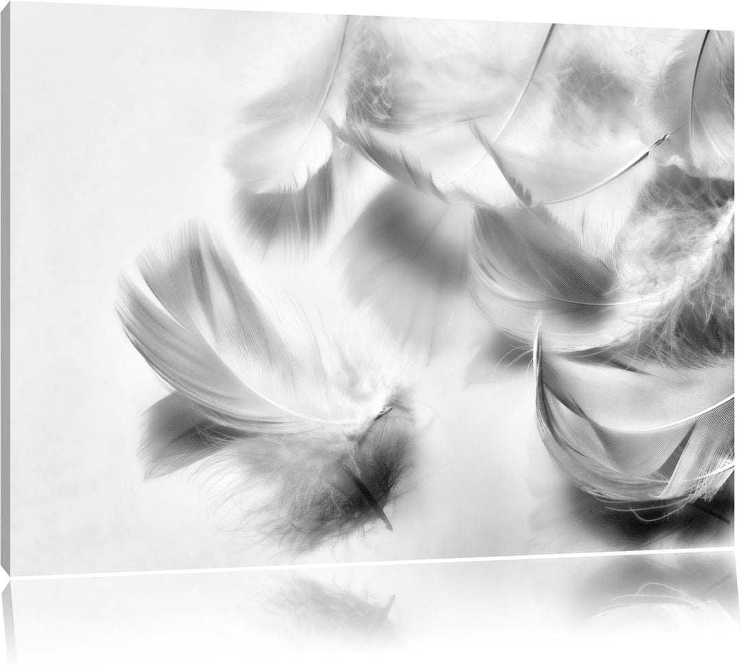 Pixxprint Monocrome, Weisse Feder auf schwarzem Stein, Format: 100x70 auf Leinwand, 100x70