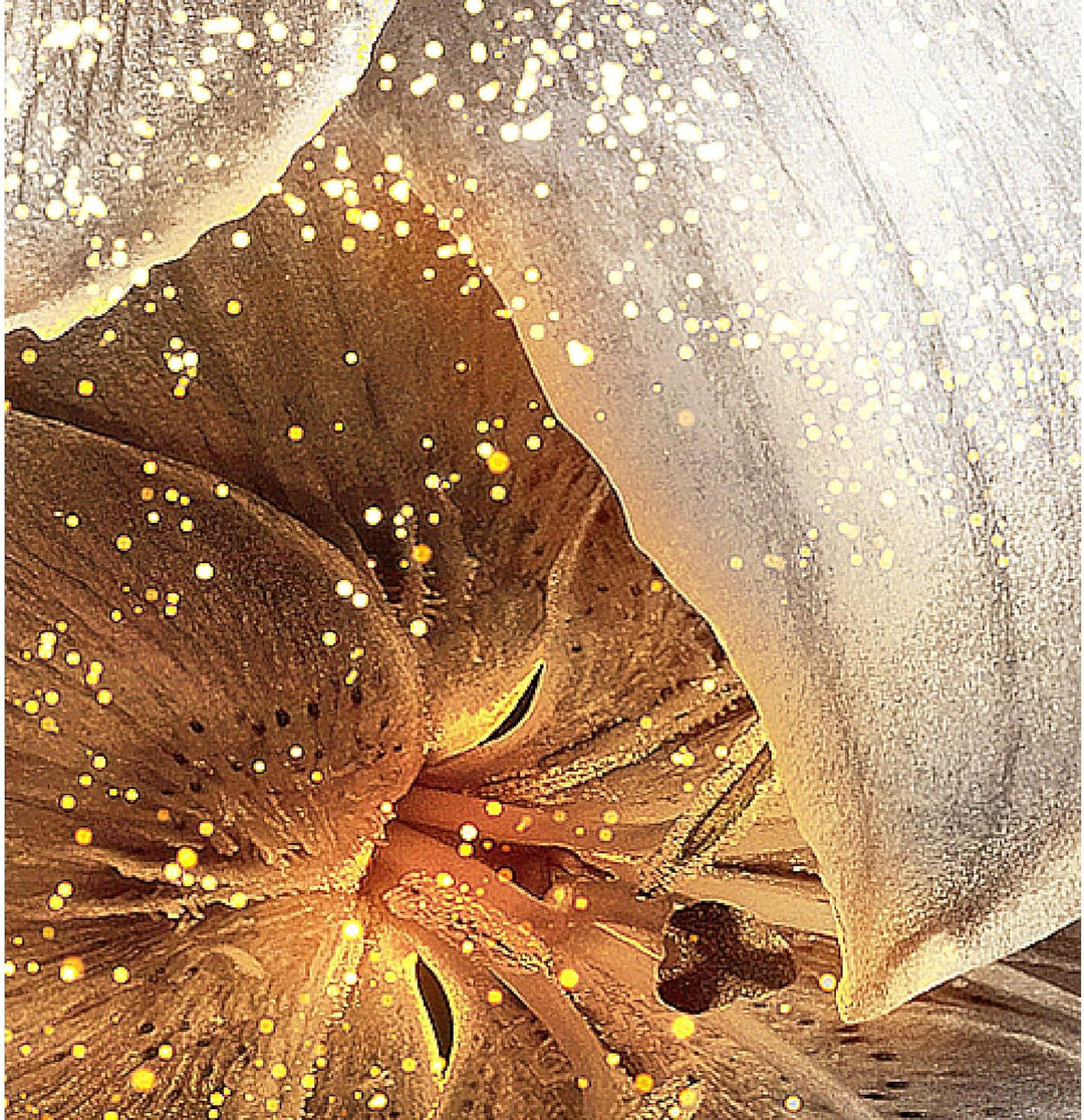 Runa Art Wandbilder Blumen Lilien 5 Teilig Bild auf Vlies Leinwand Deko Wohnzimmer Abstrakt Gelb Gol