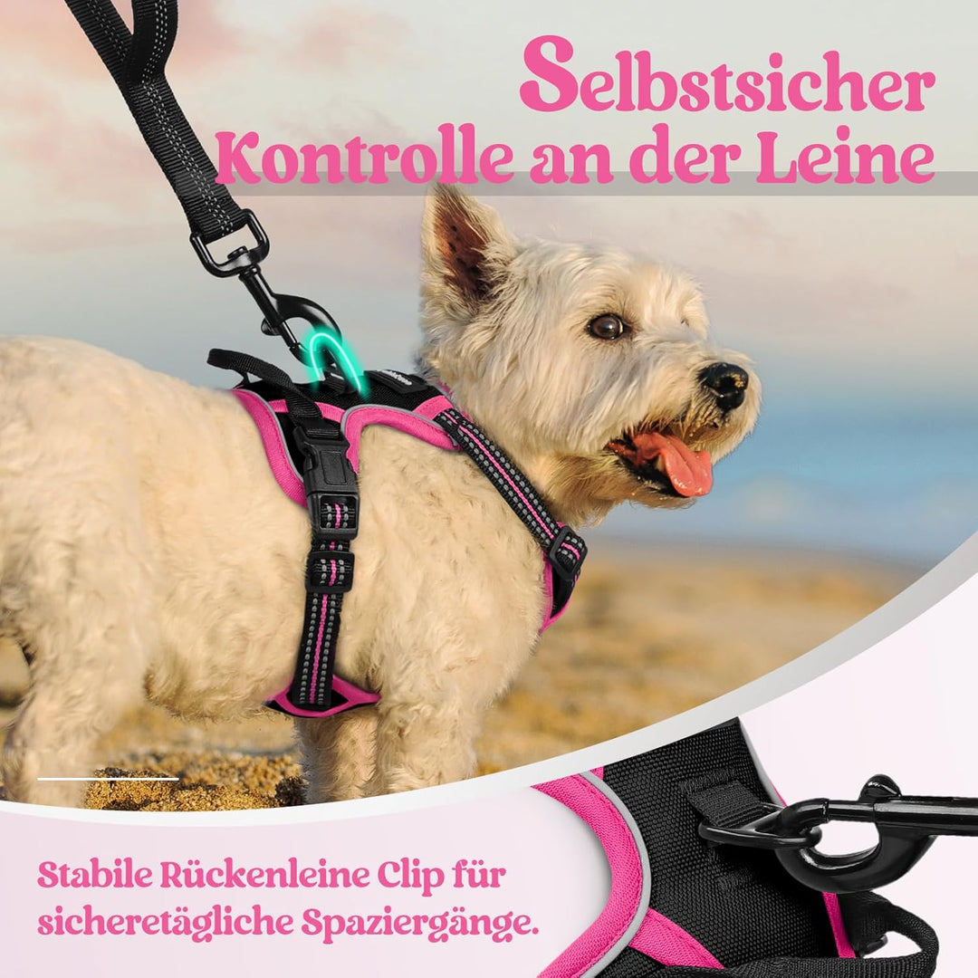 rabbitgoo Hundegeschirr Mittelgrosse Hunde, Anti Zug Geschirr mit Kontrolle, No Pull Verstellbar Hun