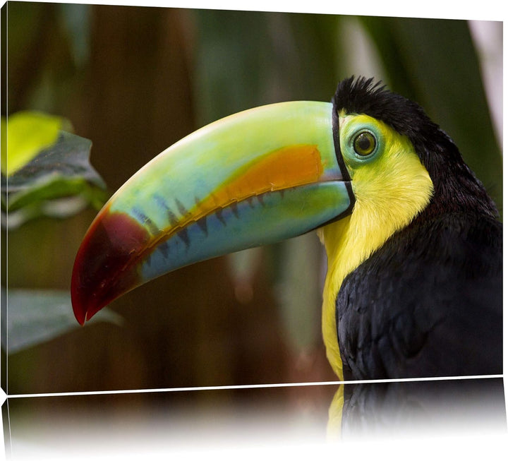 Pixxprint schöner Tukan auf Leinwand, XXL riesige Bilder fertig gerahmt mit Keilrahmen, Kunstdruck a