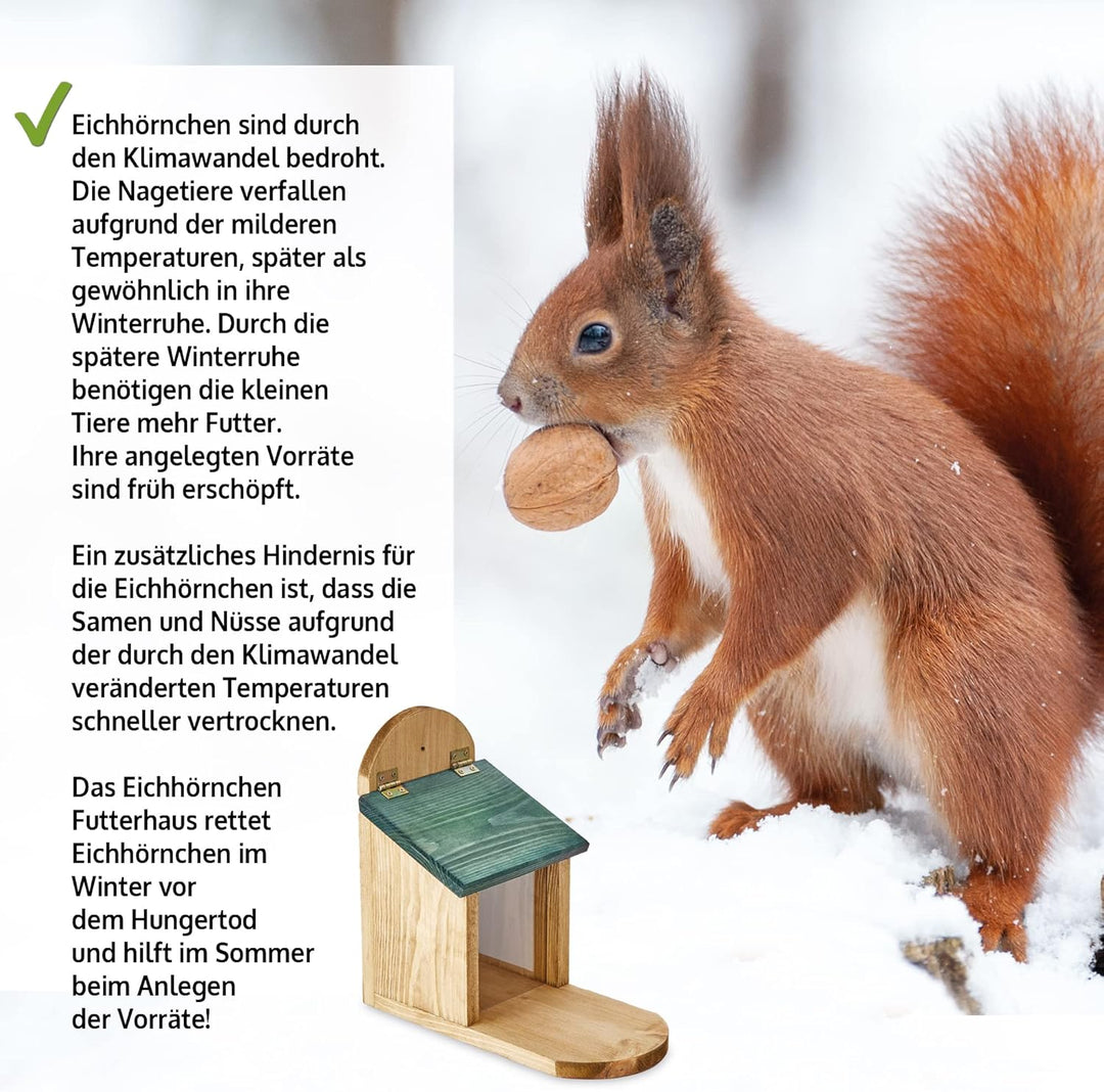 zooprinz wetterfestes Eichhörnchen Futterhaus mit grosser Sitzplattform - aus nachhaltigem Massiv-Ho