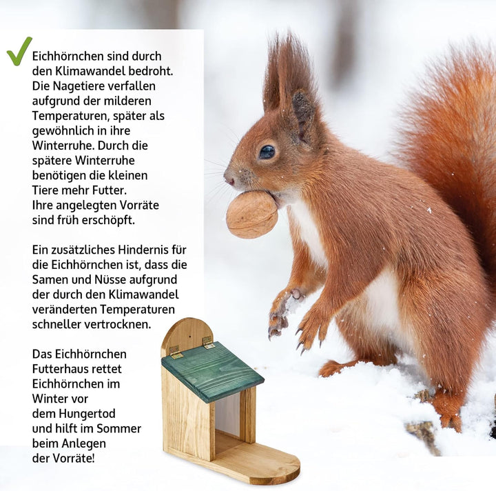 zooprinz wetterfestes Eichhörnchen Futterhaus mit grosser Sitzplattform - aus nachhaltigem Massiv-Ho