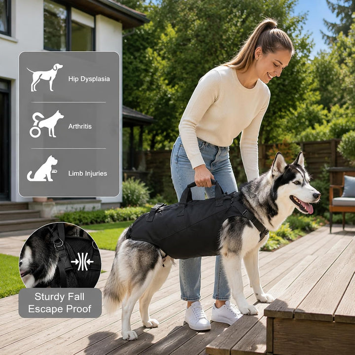 Tragehilfe Hund, Hundetrage für 12-15 kg Hunde, Reha Tragegeschirr