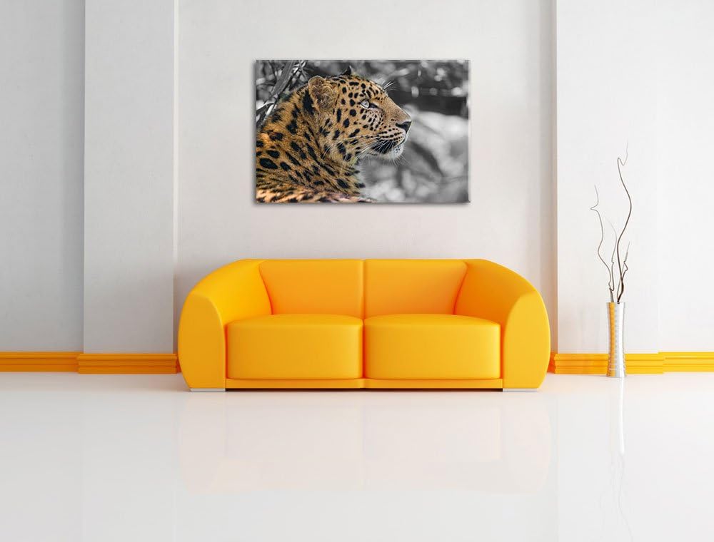 stolzer Leopard ruht im Schatten schwarz/weiss auf Leinwand, XXL riesige Bilder fertig gerahmt mit K