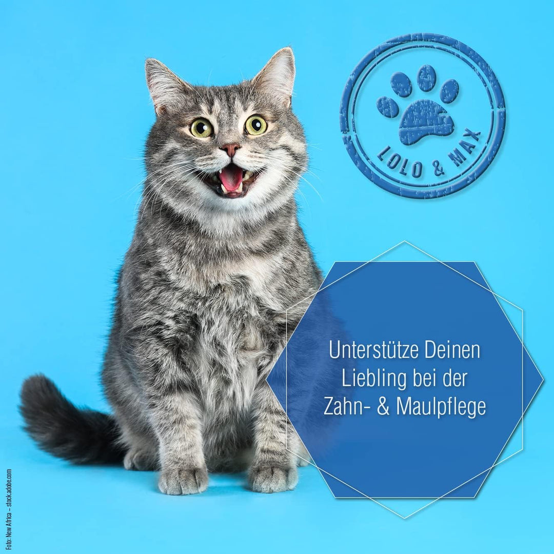 Lolo &amp; Max natürliche Zahnpflege für Hund &amp; Katze - DentaCare Trinkwasserzusatz zur Zahnreinigung fü