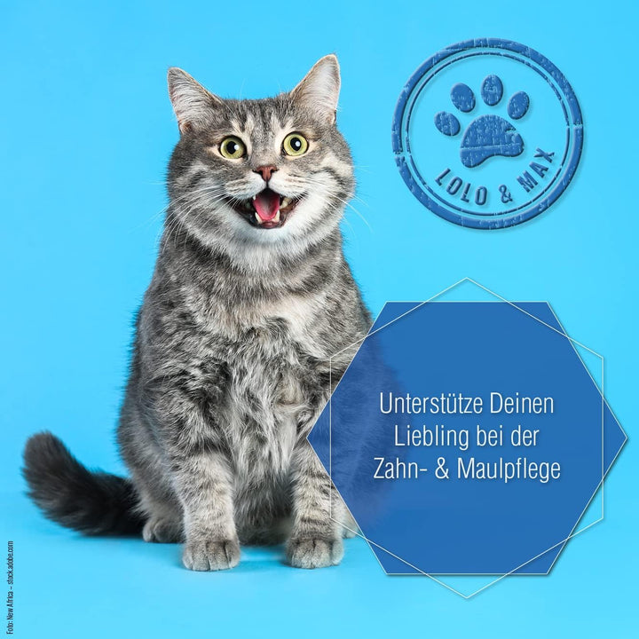 Lolo &amp; Max natürliche Zahnpflege für Hund &amp; Katze - DentaCare Trinkwasserzusatz zur Zahnreinigung fü