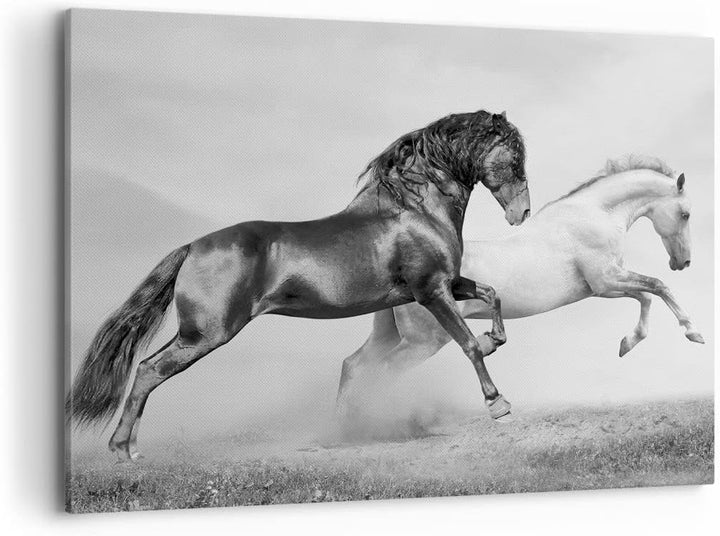 Bilder auf Leinwand 100x70cm Leinwandbild Pferde Tiere Galopp Wiese Gross Wanddeko Bild Schlafzimmer