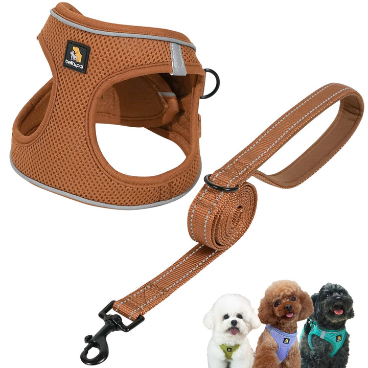 BELLA & PAL Hundegeschirr Kleine Hunde mit Leine, Step-in Geschirr aus Air Mesh, Anti Zug Reflektier