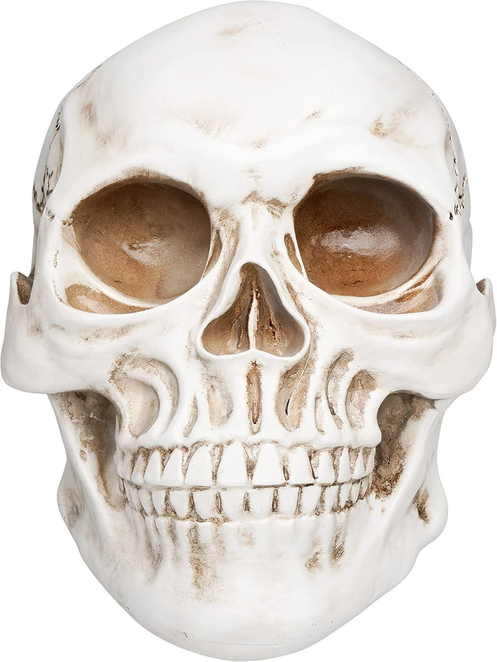 CRAZY HEADS white Skull Totenkopf Kopfhörerständer Headset Halter Ständer Skull Totenschädel