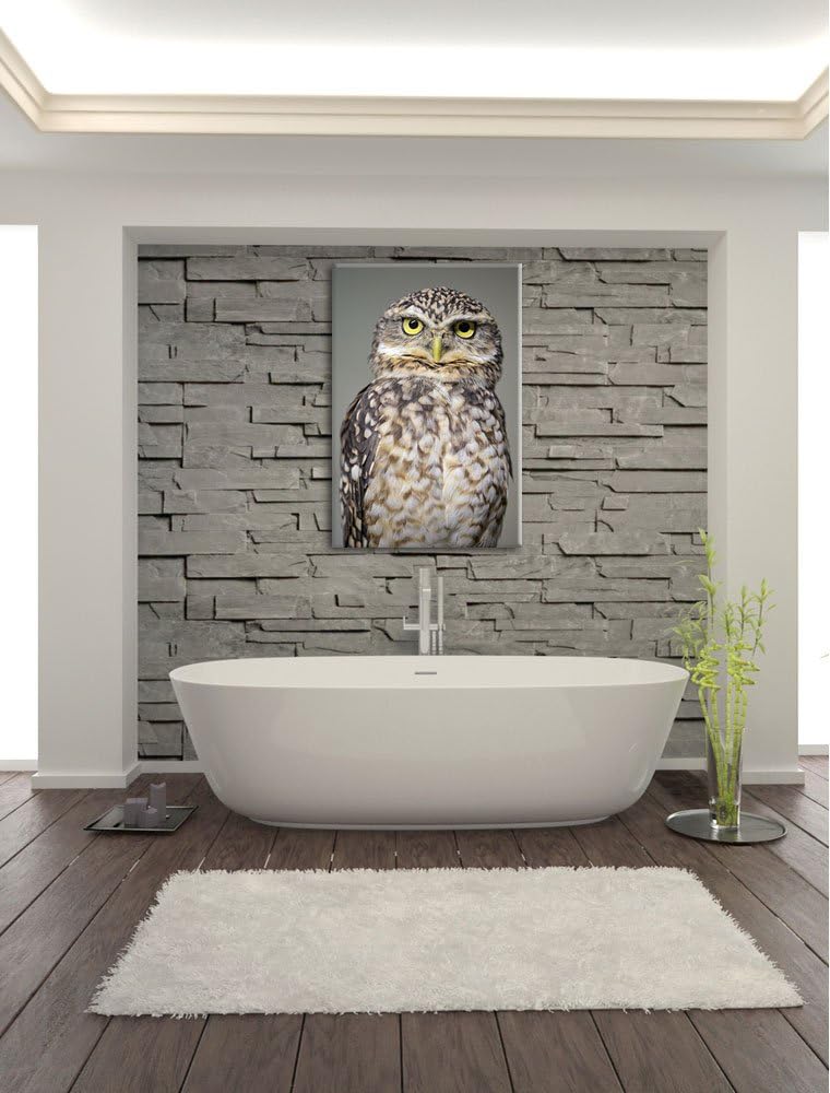 Pixxprint kleine Eule auf Leinwand, XXL riesige Bilder fertig gerahmt mit Keilrahmen, Kunstdruck auf